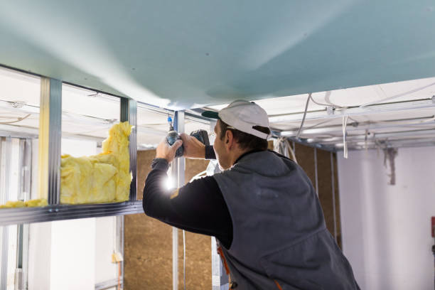 Best Insulation Maintenance and Repair in Leesville, LA