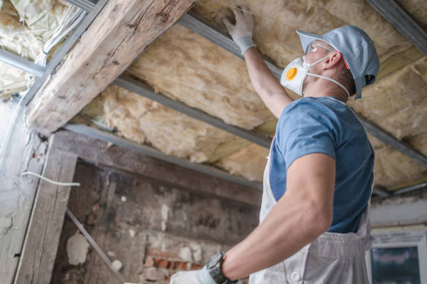 Best Blown-in Insulation in Leesville, LA