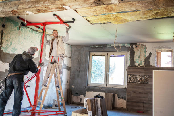 Best Eco-Friendly Insulation in Leesville, LA