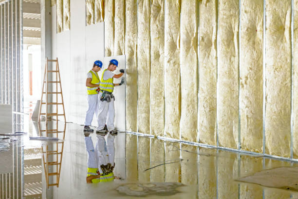 Best Spray Foam Insulation in Leesville, LA
